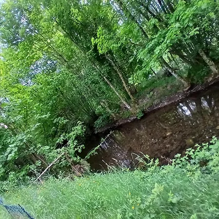 De L'ours سانت موريس سور موسيل
