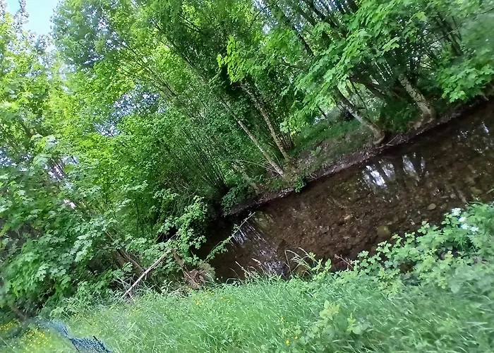 De L'ours Saint-Maurice-sur-Moselle