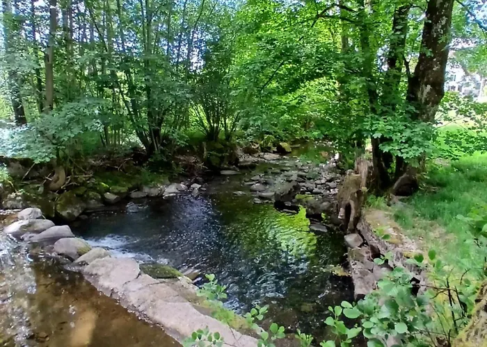 De L'ours * Saint-Maurice-sur-Moselle